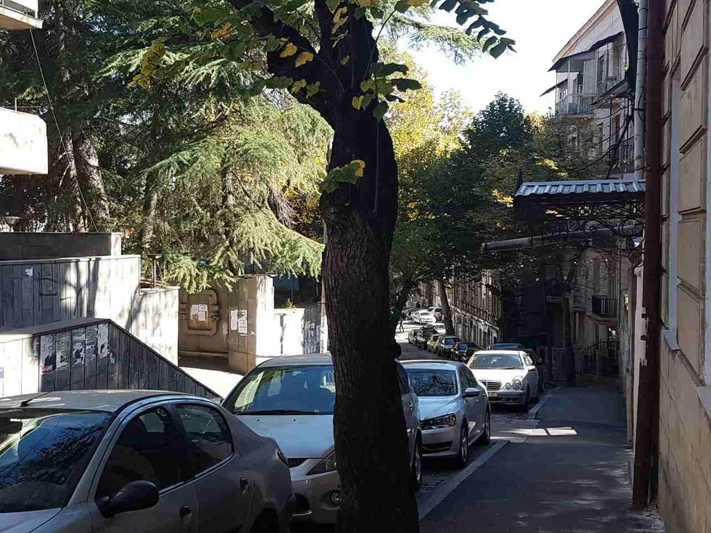 Solo Room Apartment Tbilisi Esterno foto